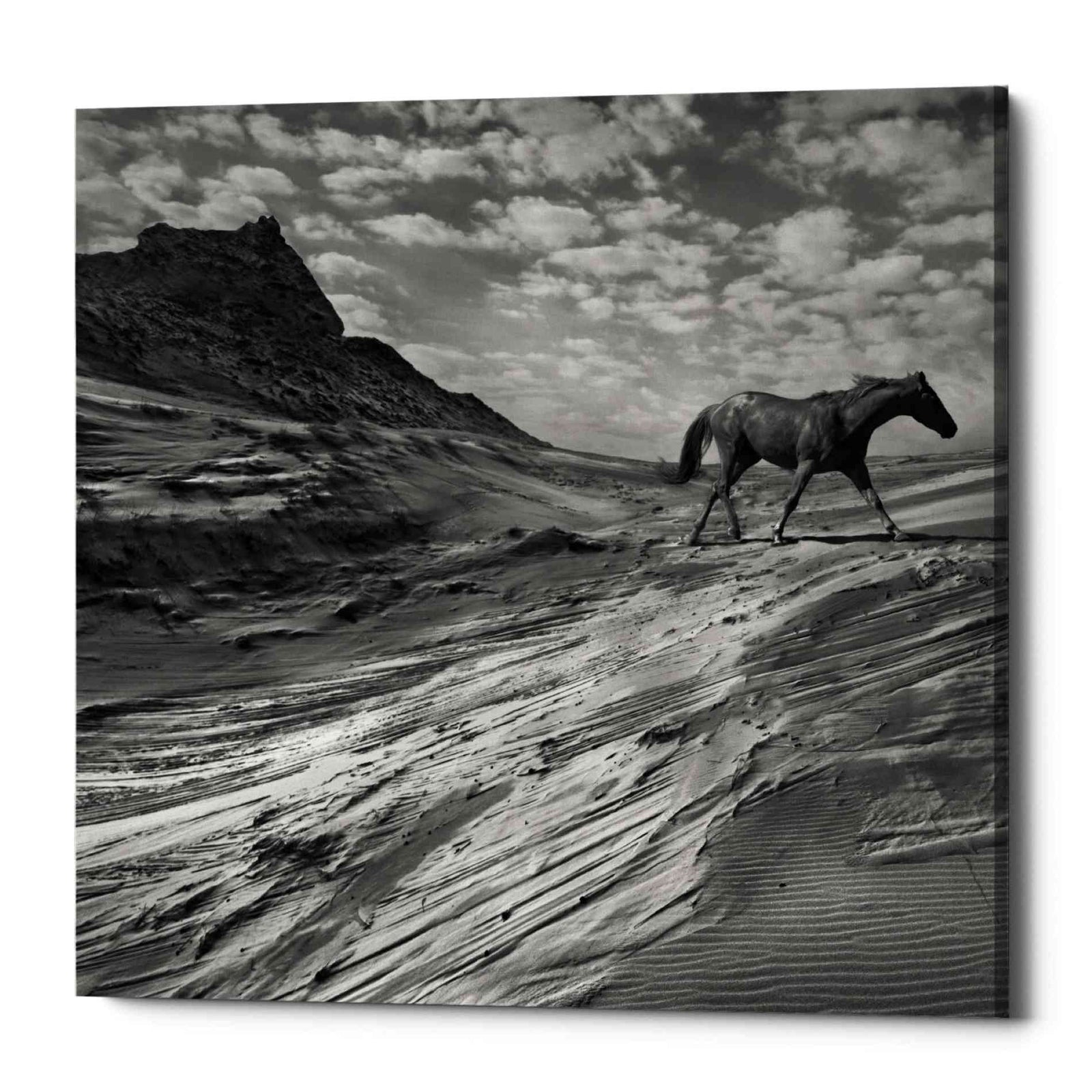 Epic Graffiti 'Mustang Mountain' by Dariusz Klimczak, Canvas Wall Art
