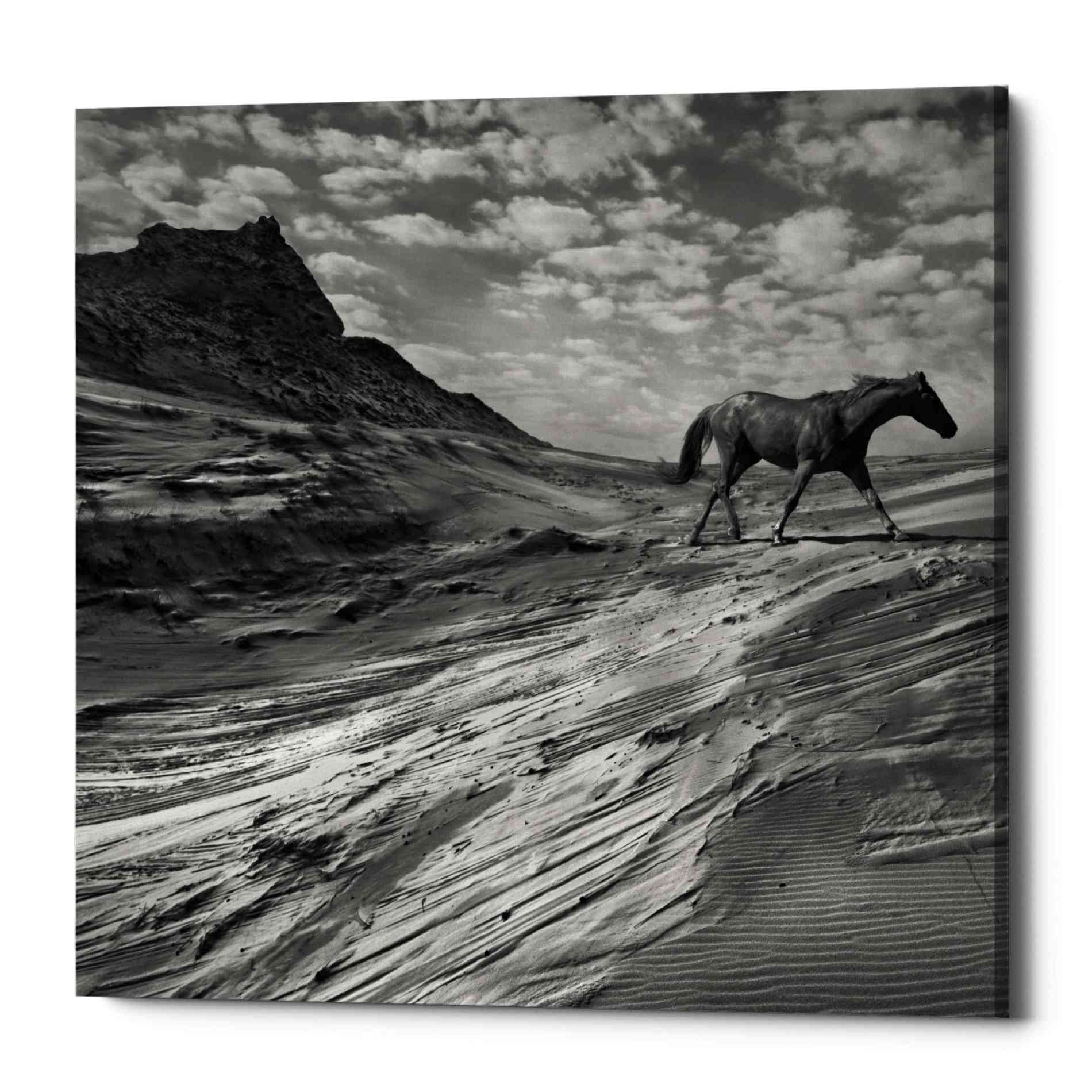 Epic Graffiti 'Mustang Mountain' by Dariusz Klimczak, Canvas Wall Art