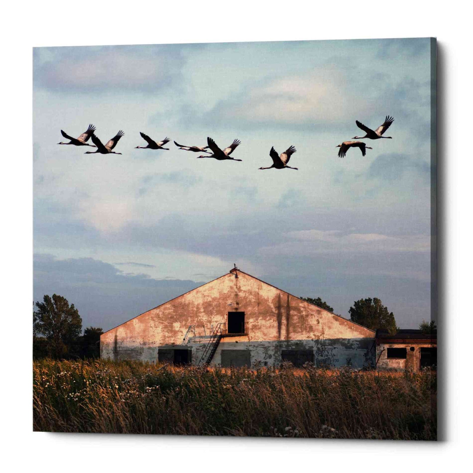 Epic Graffiti 'Oktet' by Dariusz Klimczak, Canvas Wall Art