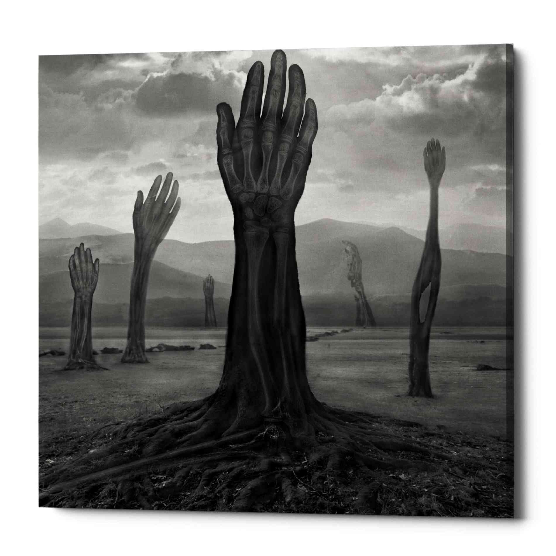 Epic Graffiti 'Rentgen' by Dariusz Klimczak, Canvas Wall Art