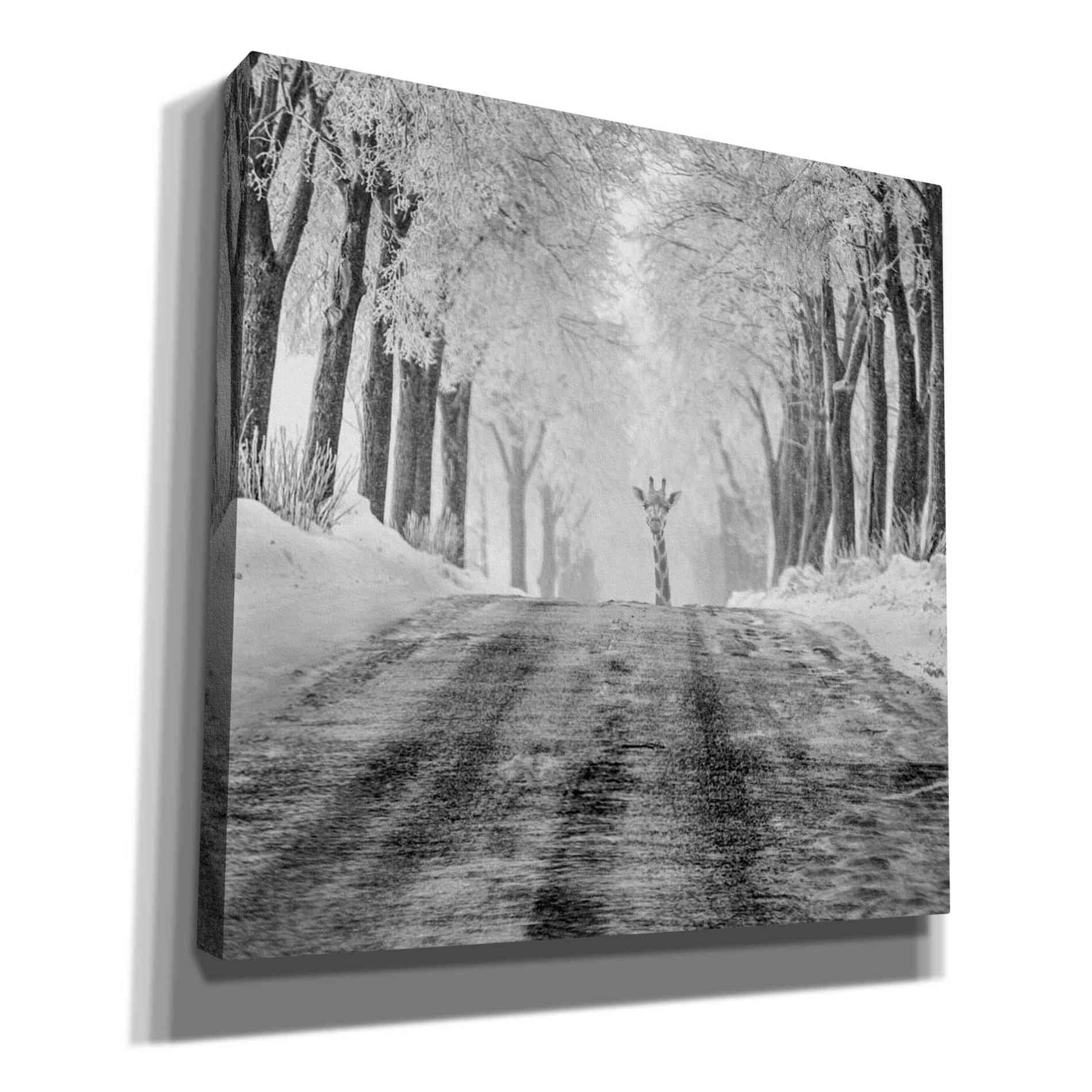 Epic Graffiti 'Surprise' by Dariusz Klimczak, Canvas Wall Art