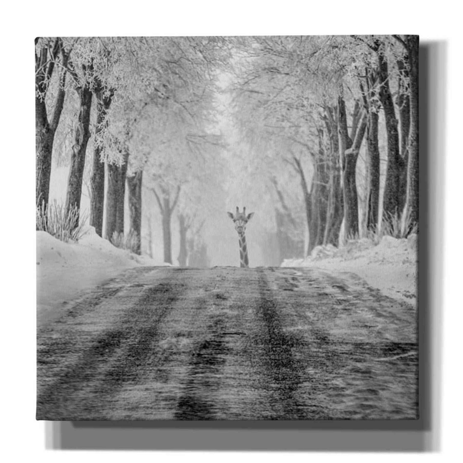 Epic Graffiti 'Surprise' by Dariusz Klimczak, Canvas Wall Art
