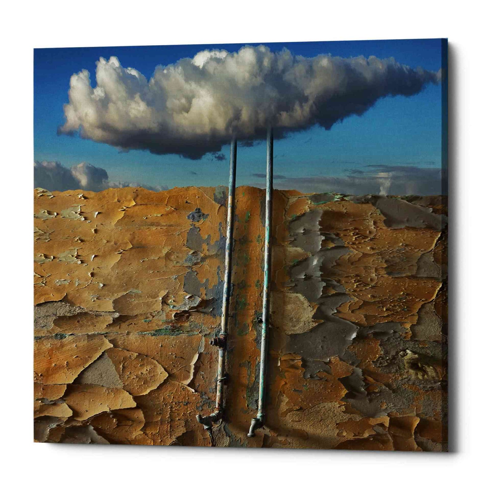 Epic Graffiti 'Susza' by Dariusz Klimczak, Canvas Wall Art