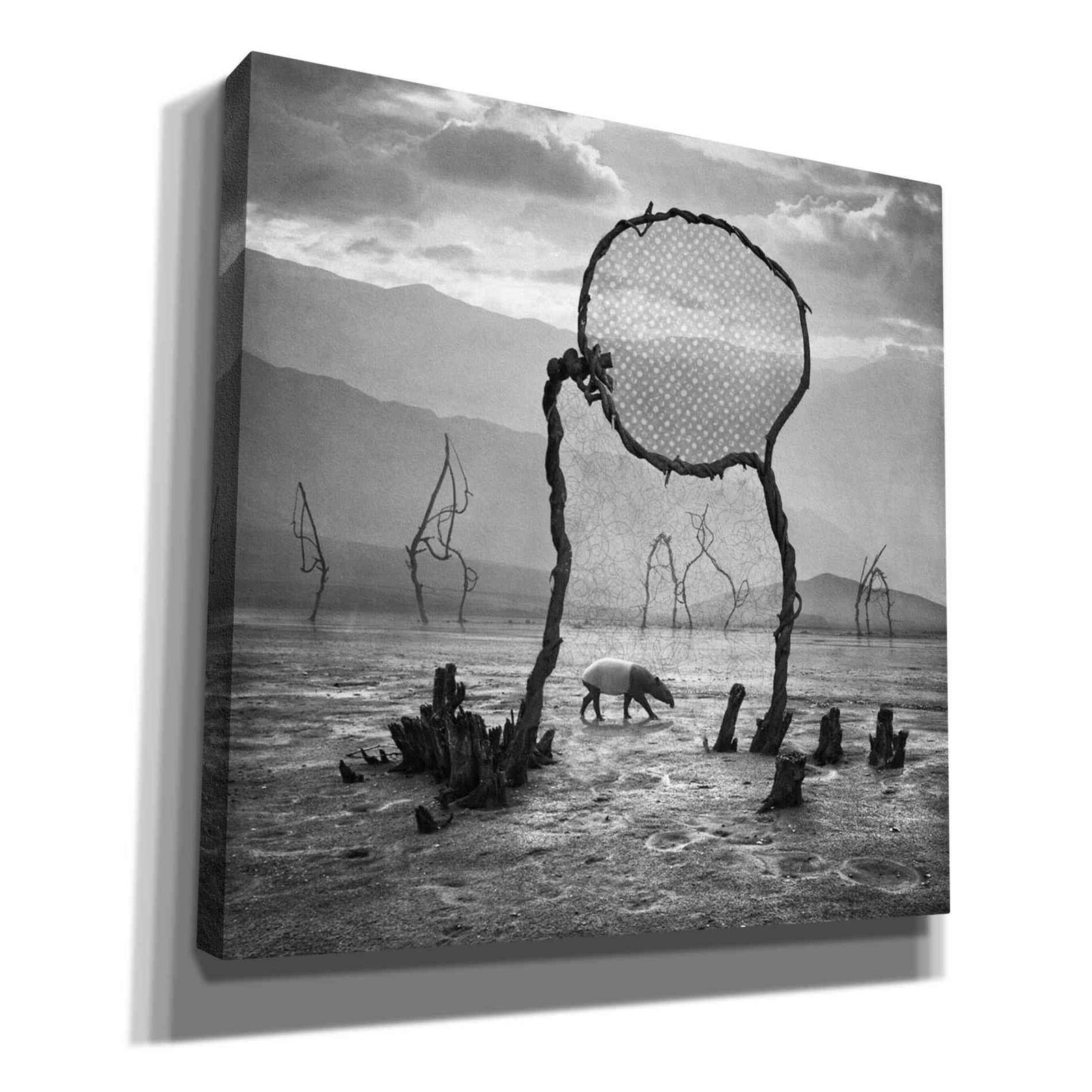 Epic Graffiti 'Tapir' by Dariusz Klimczak, Canvas Wall Art