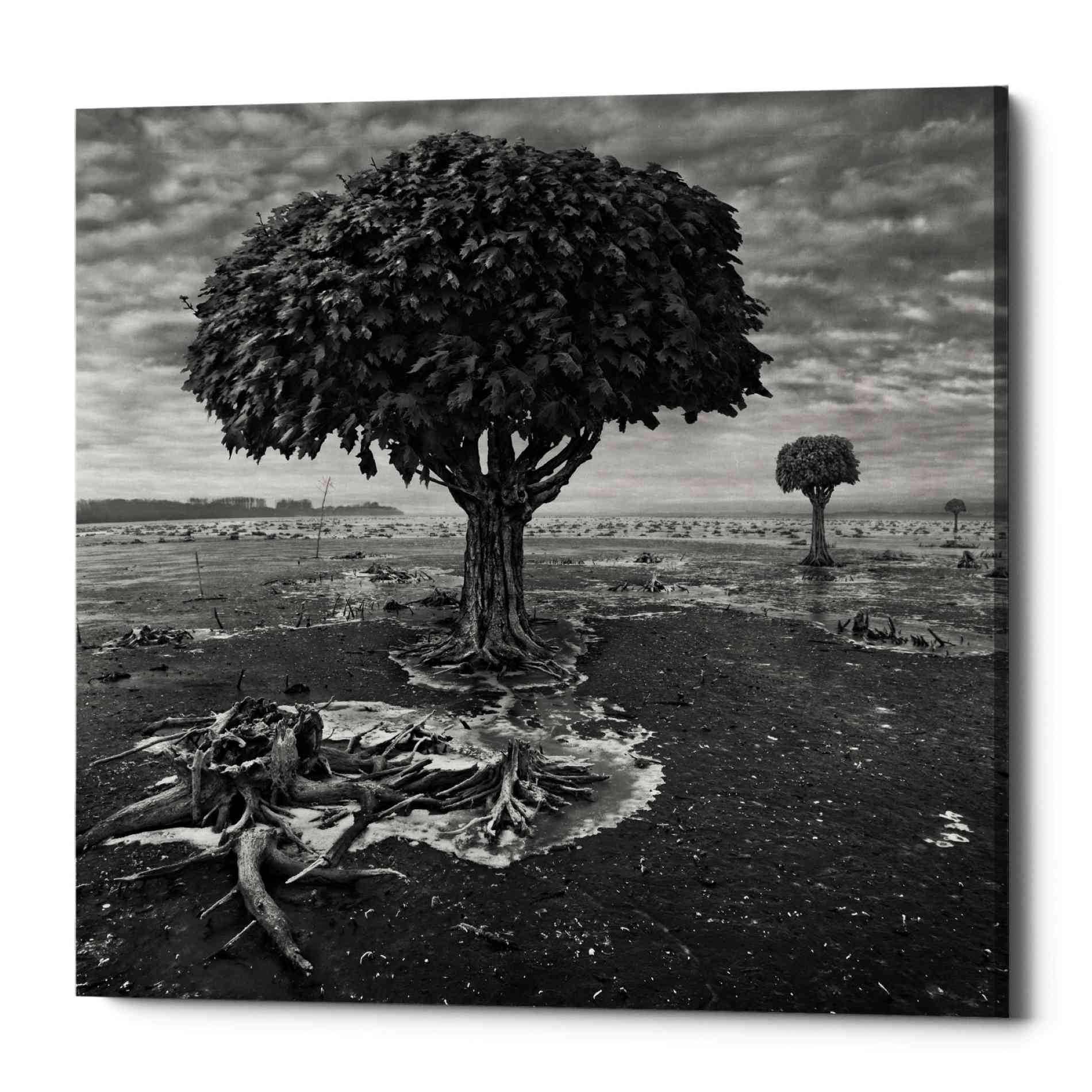 Epic Graffiti 'Trees' by Dariusz Klimczak, Canvas Wall Art