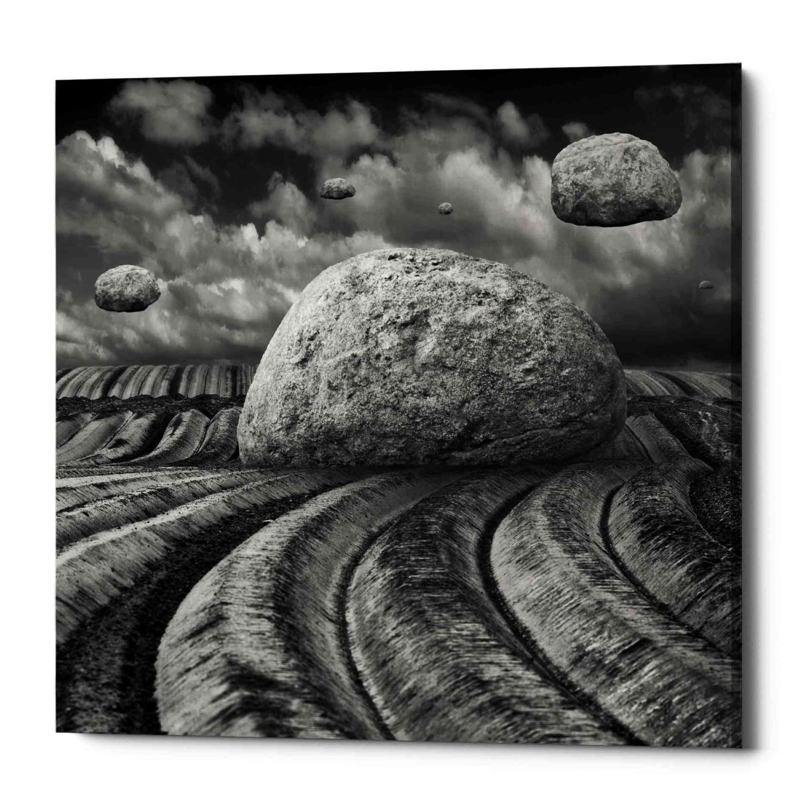 Epic Graffiti 'Unharvested' by Dariusz Klimczak, Canvas Wall Art