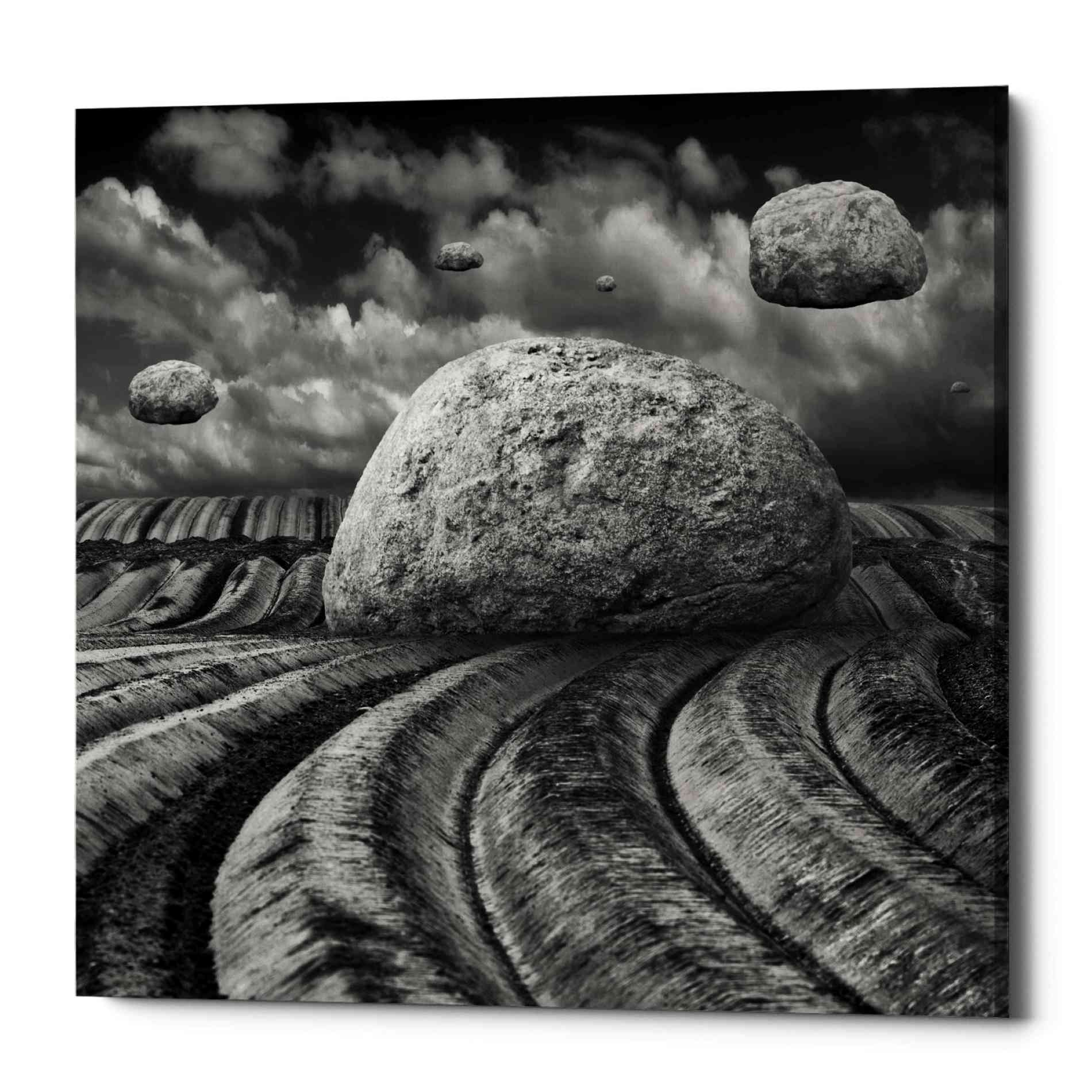 Epic Graffiti 'Unharvested' by Dariusz Klimczak, Canvas Wall Art