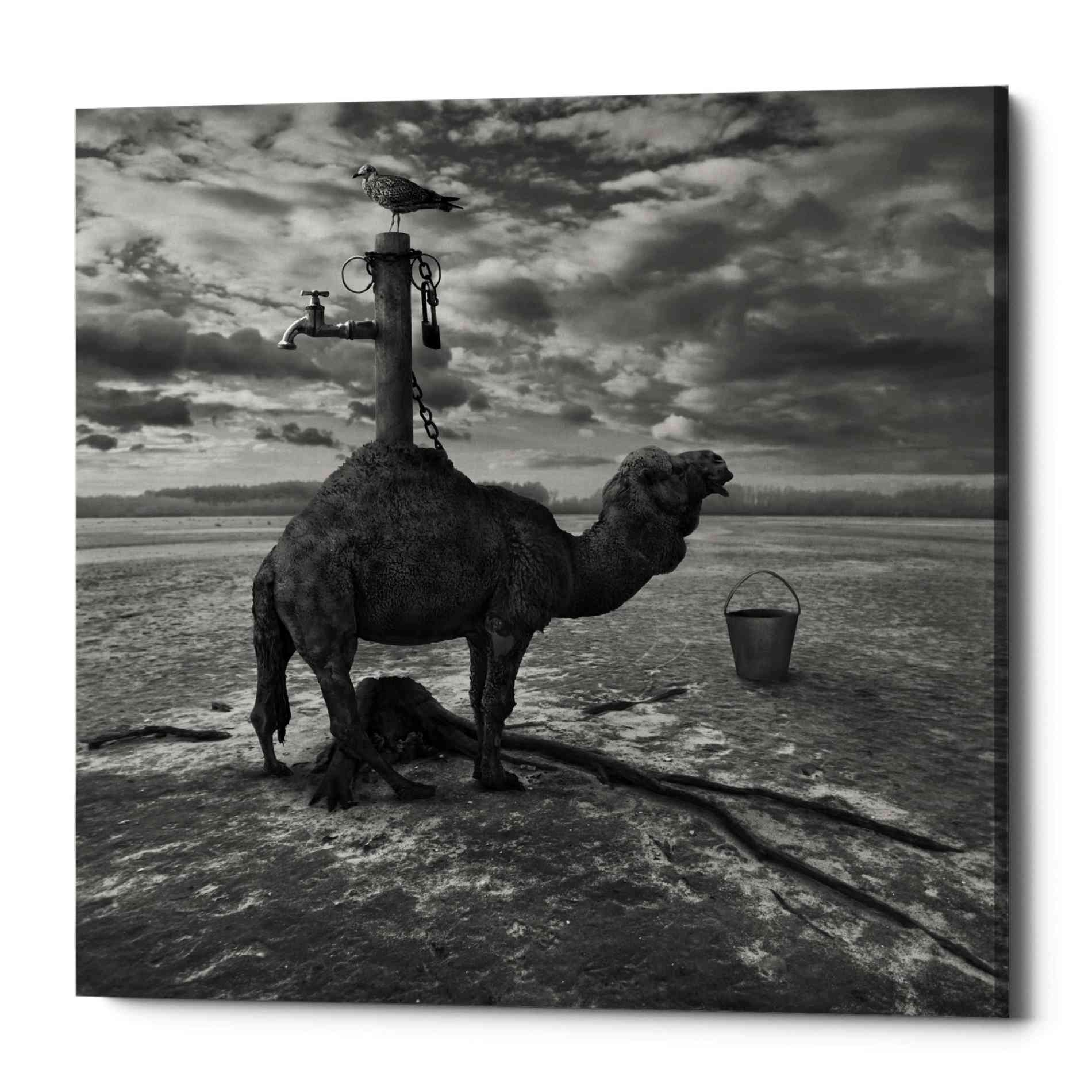 Epic Graffiti 'Watering Place' by Dariusz Klimczak, Canvas Wall Art