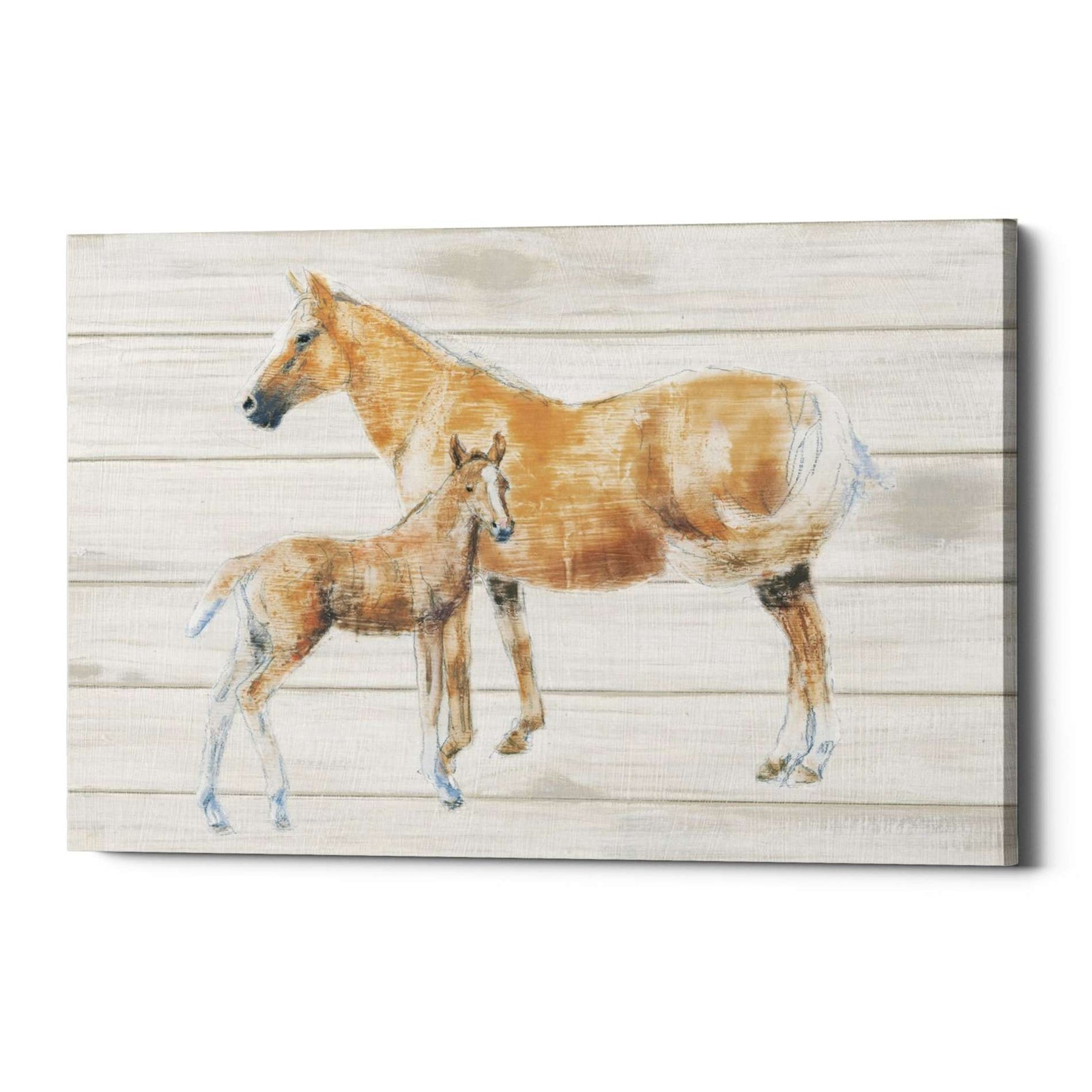 Epic Graffiti 'Horse and Colt on Wood' by Emily Adams, Giclee Canvas Wall Art