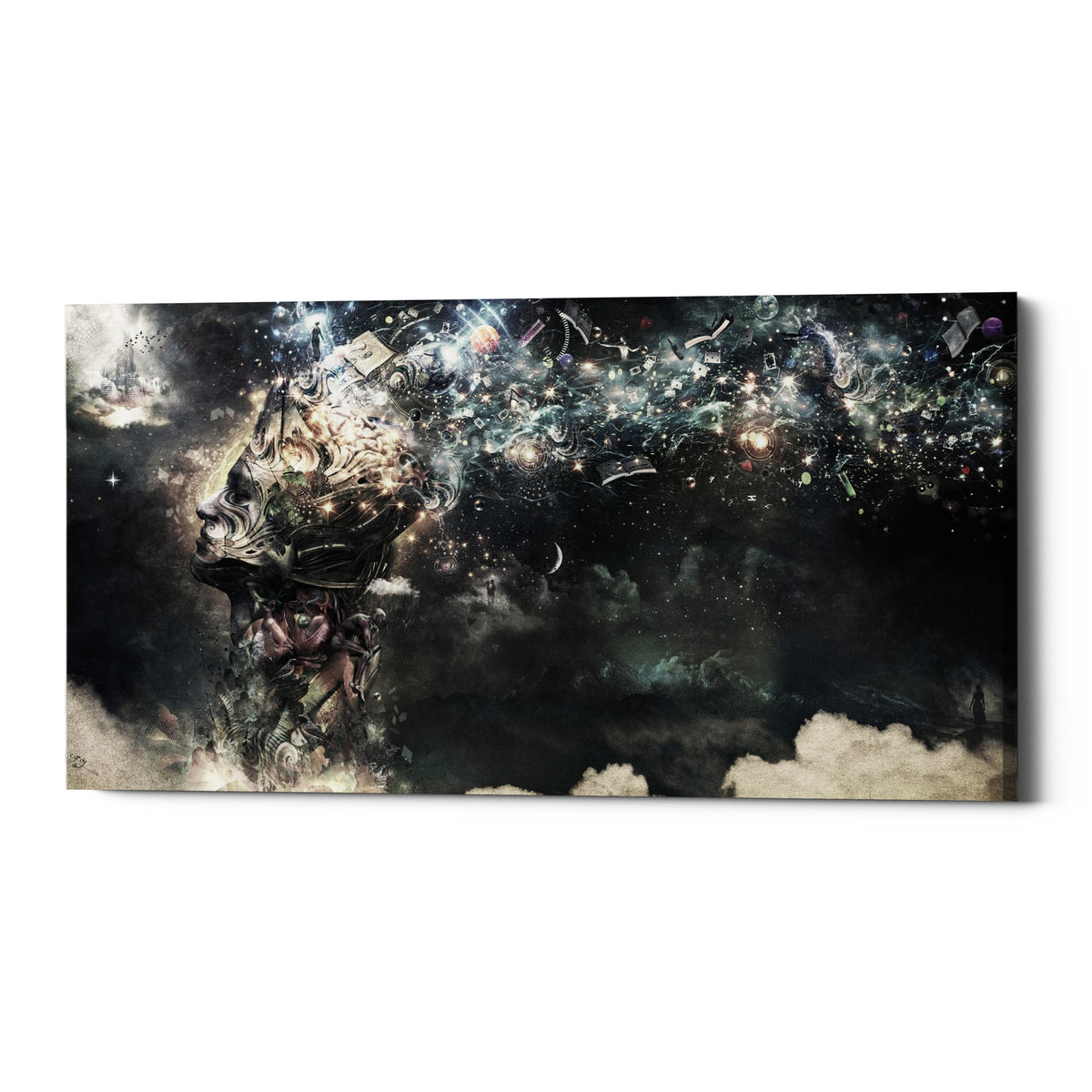 Epic Graffiti &quot;Coma&quot; by Cameron Gray, Giclee Canvas Wall Art