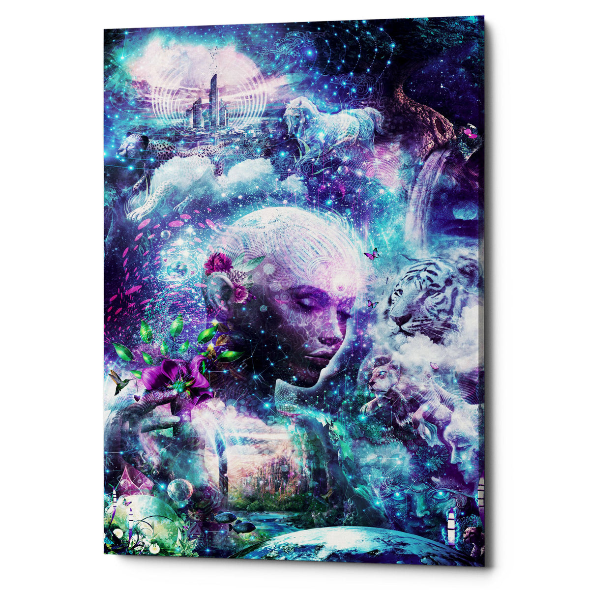 Epic Graffiti &quot;Discovering The Cosmic Consciousness&quot; by Cameron Gray, Giclee Canvas Wall Art