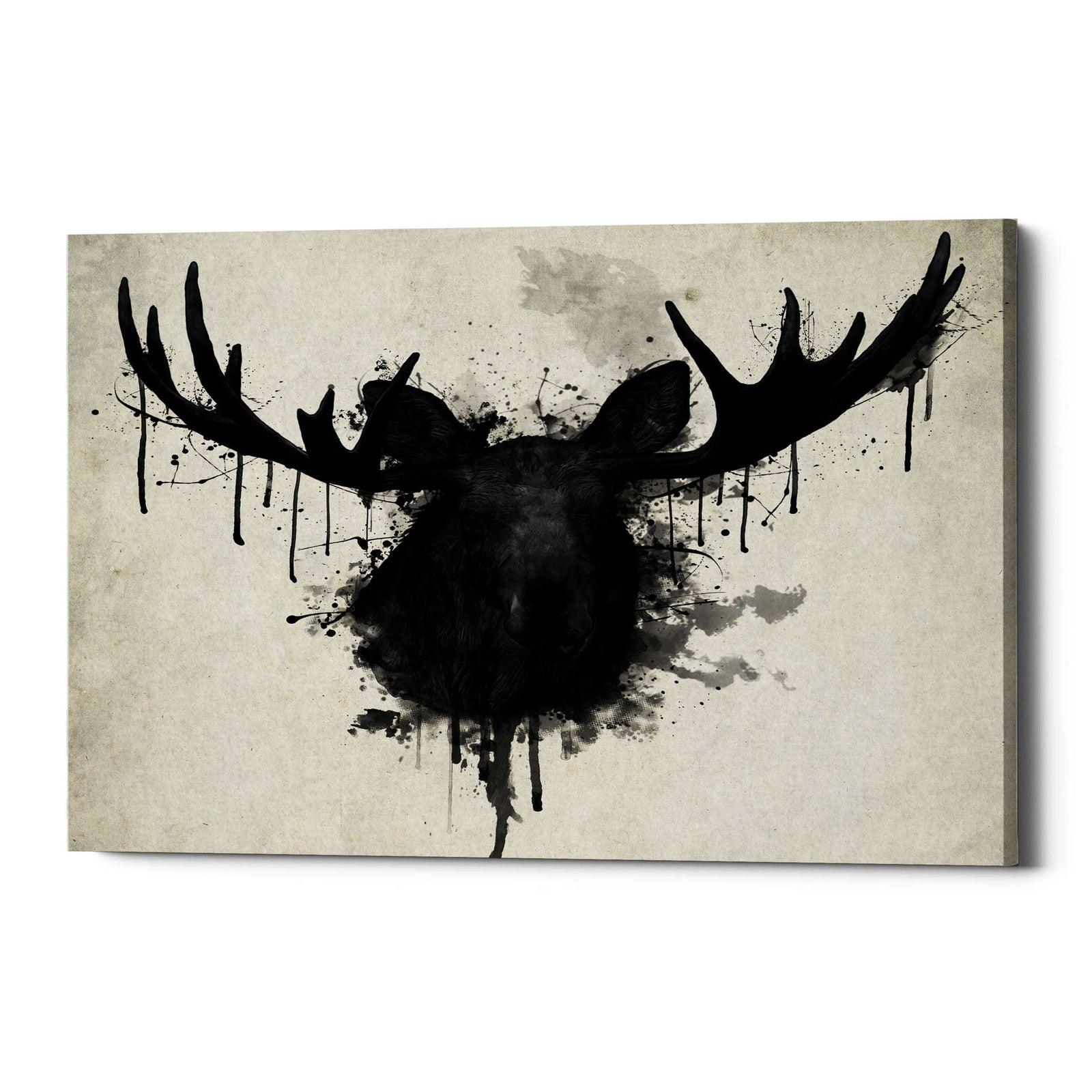 Cortesi Home "Moose" by Nicklas Gustafsson, Giclee Canvas Wall Art