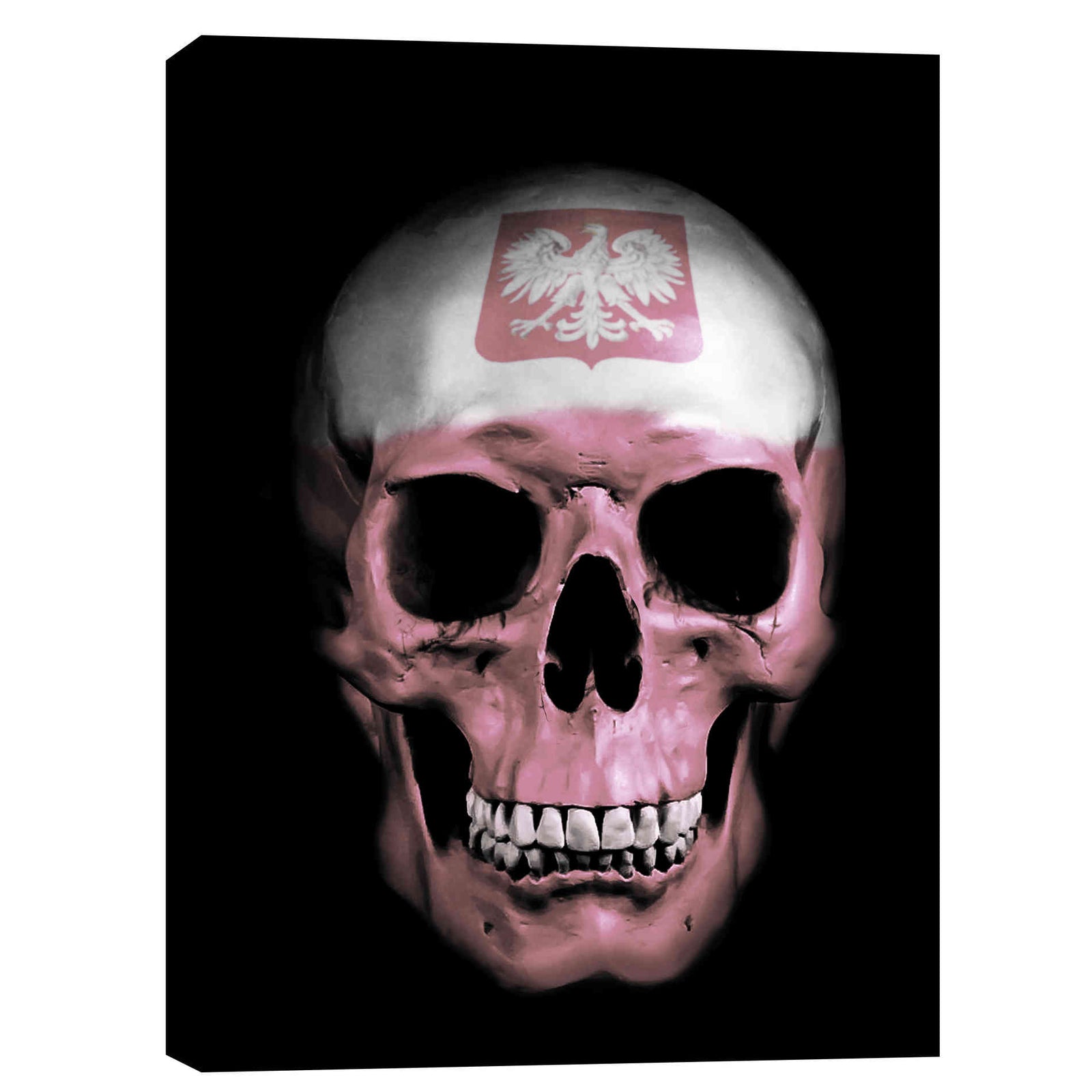 Cortesi Home 'Polish Skull' by Nicklas Gustafsson, Canvas Wall Art