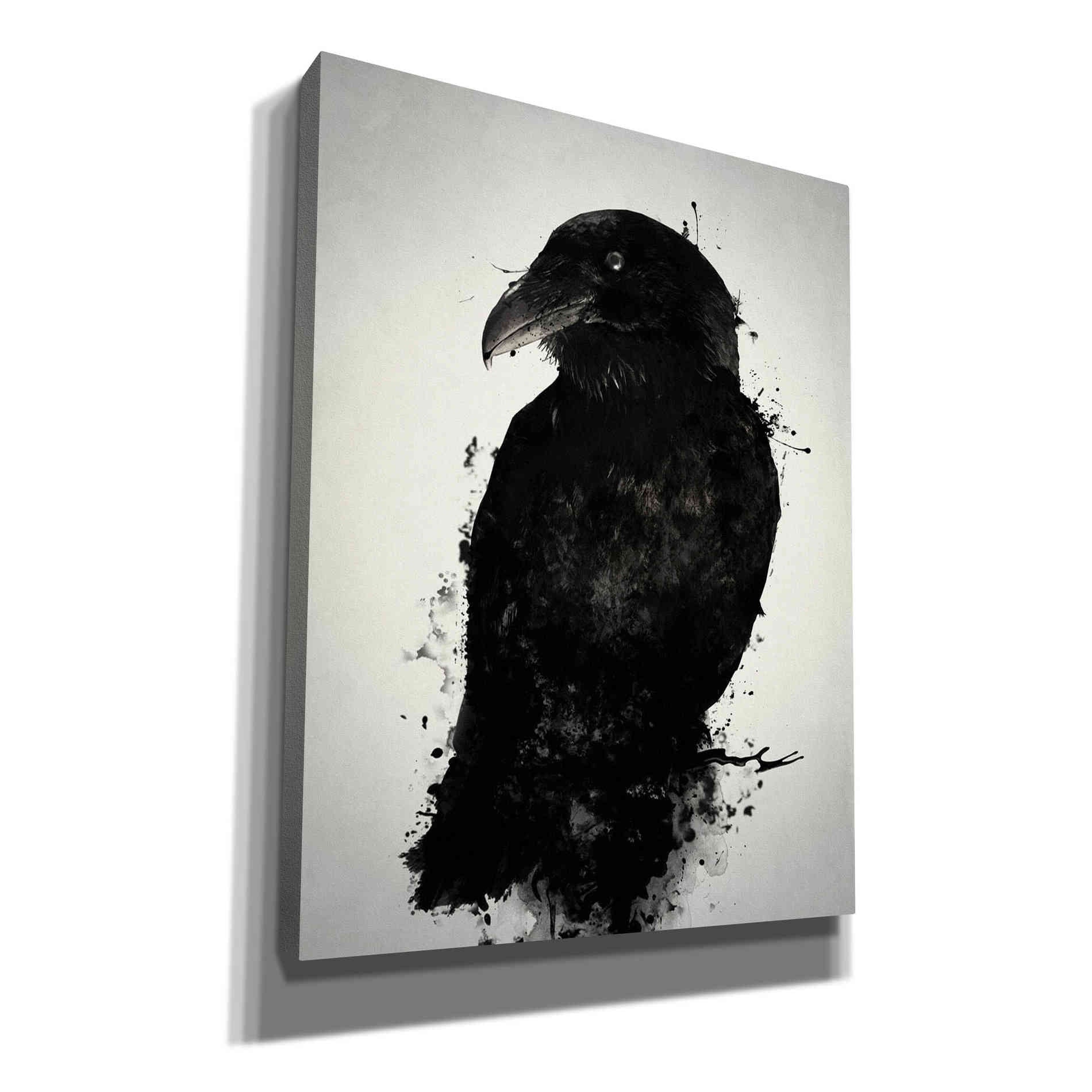 Cortesi Home 'The Raven' by Nicklas Gustafsson, Canvas Wall Art