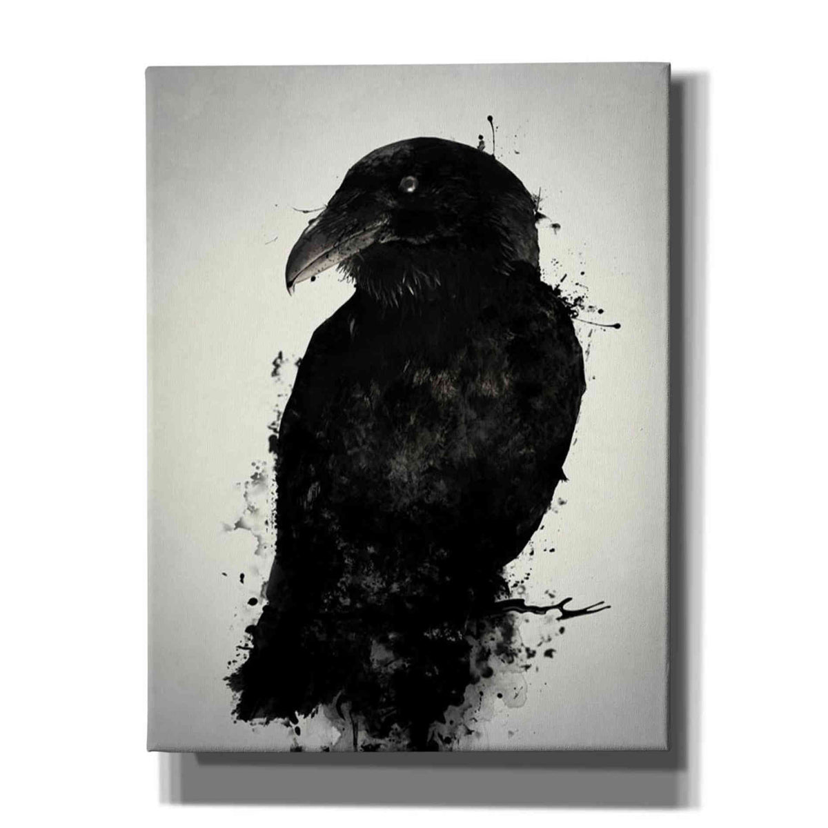 Cortesi Home &#39;The Raven&#39; by Nicklas Gustafsson, Canvas Wall Art