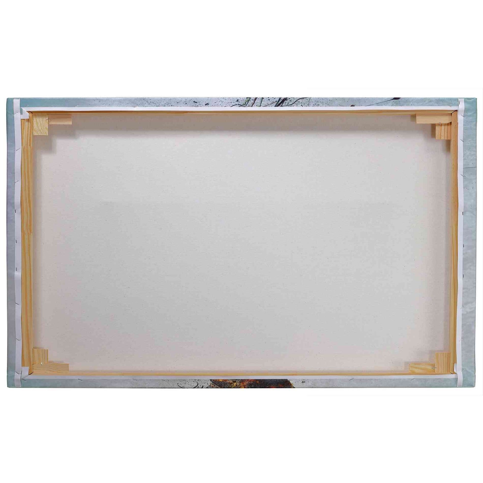 Cortesi Home 'Viking Skull' by Nicklas Gustafsson, Canvas Wall Art