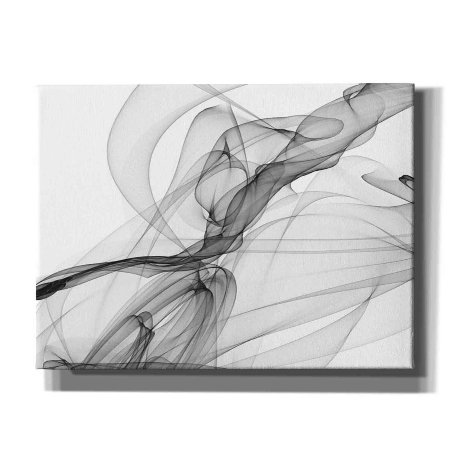 Epic Graffiti 'Abstract Black and White 18-21' by Irena Orlov, Giclee Canvas Wall Art