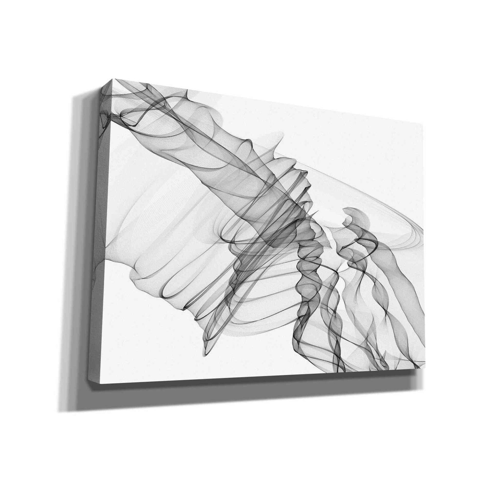 Epic Graffiti 'Abstract Black and White 19-22-36' by Irena Orlov, Giclee Canvas Wall Art