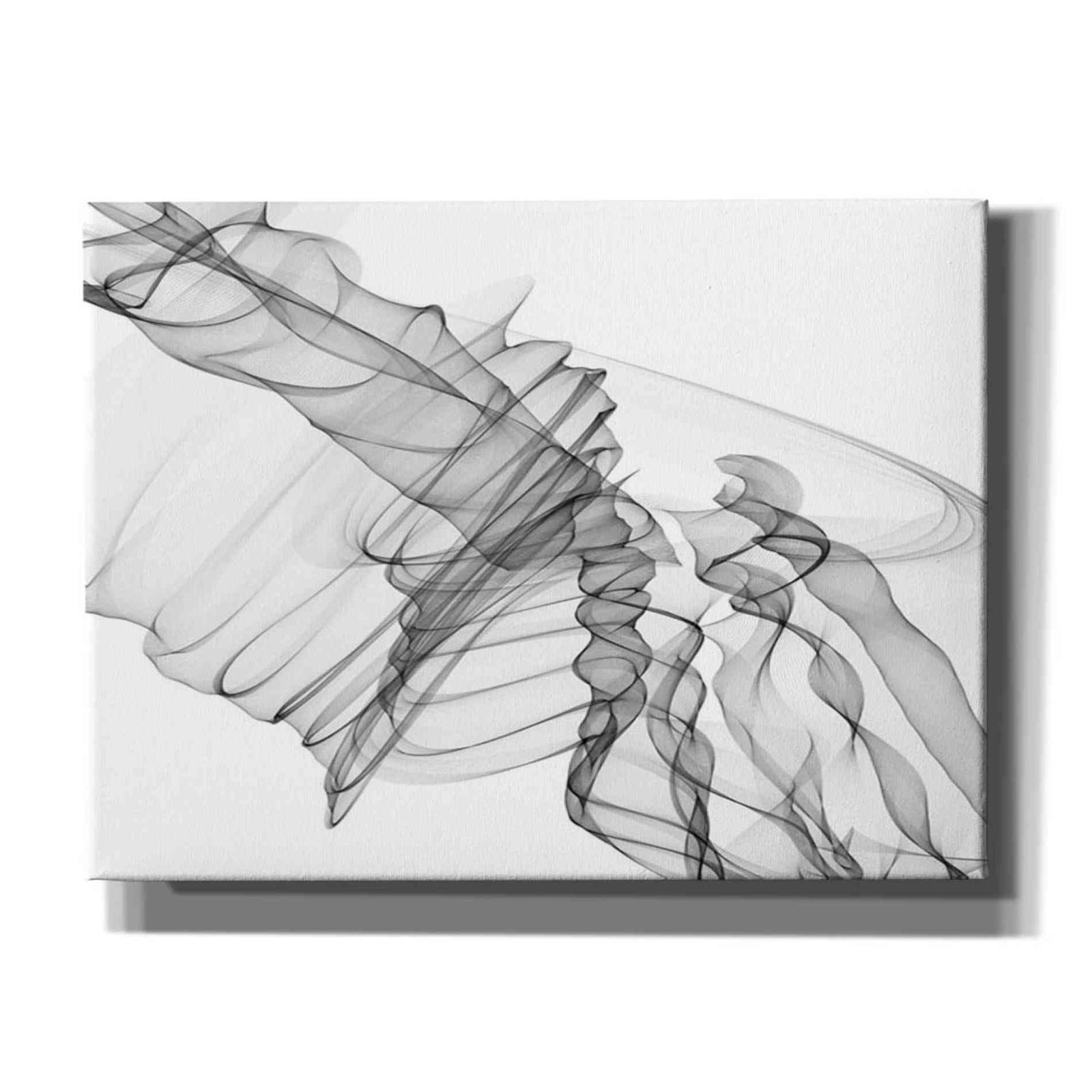Epic Graffiti 'Abstract Black and White 19-22-36' by Irena Orlov, Giclee Canvas Wall Art