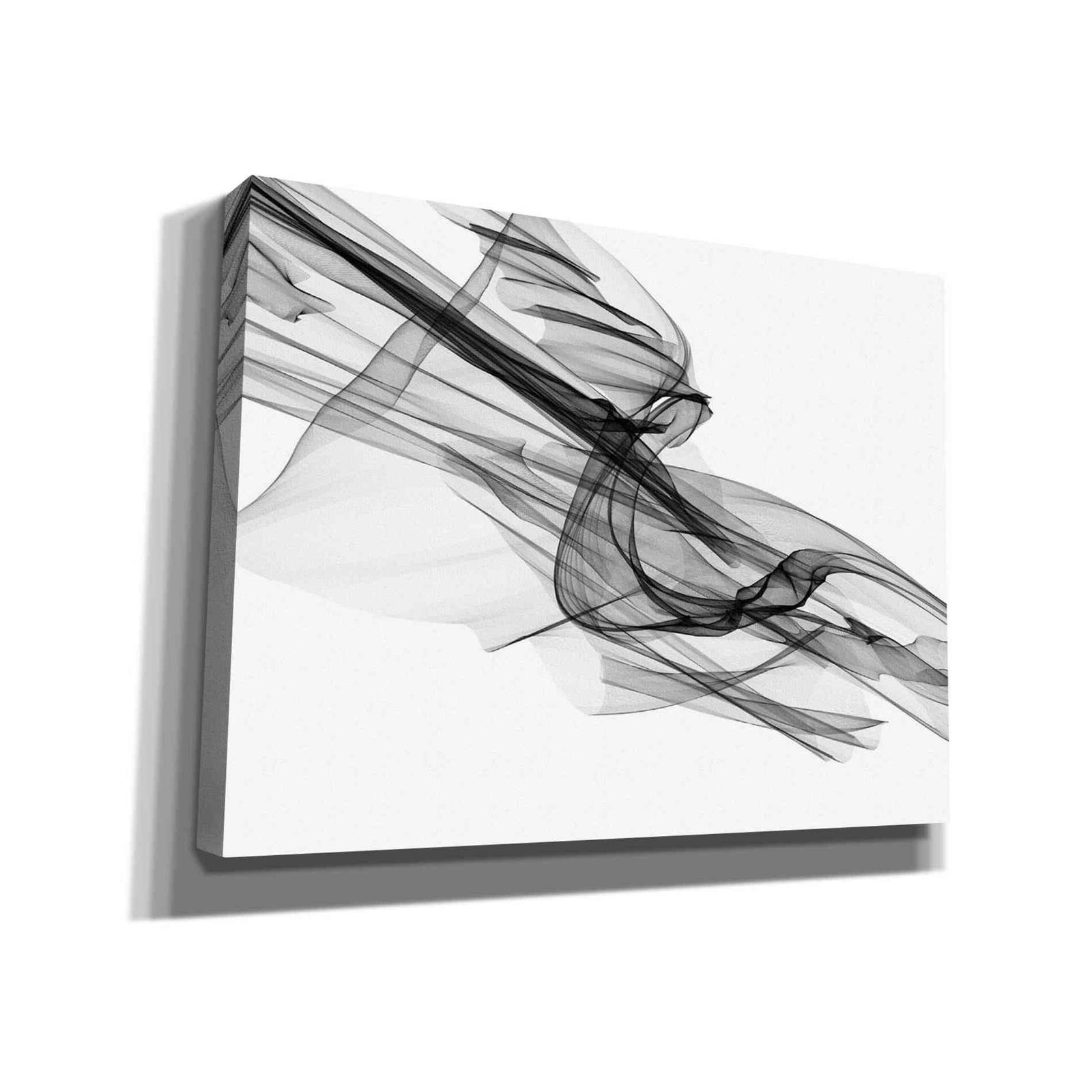 Epic Graffiti 'Abstract Black and White 19-48' by Irena Orlov, Giclee Canvas Wall Art