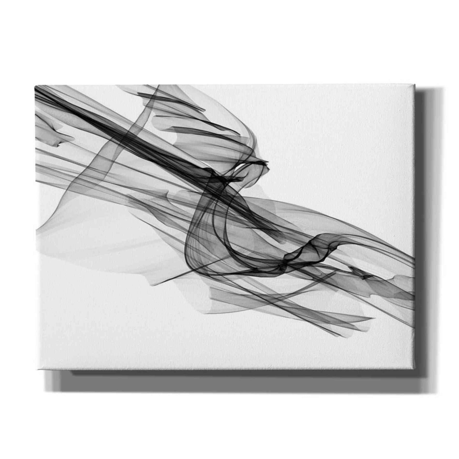 Epic Graffiti 'Abstract Black and White 19-48' by Irena Orlov, Giclee Canvas Wall Art