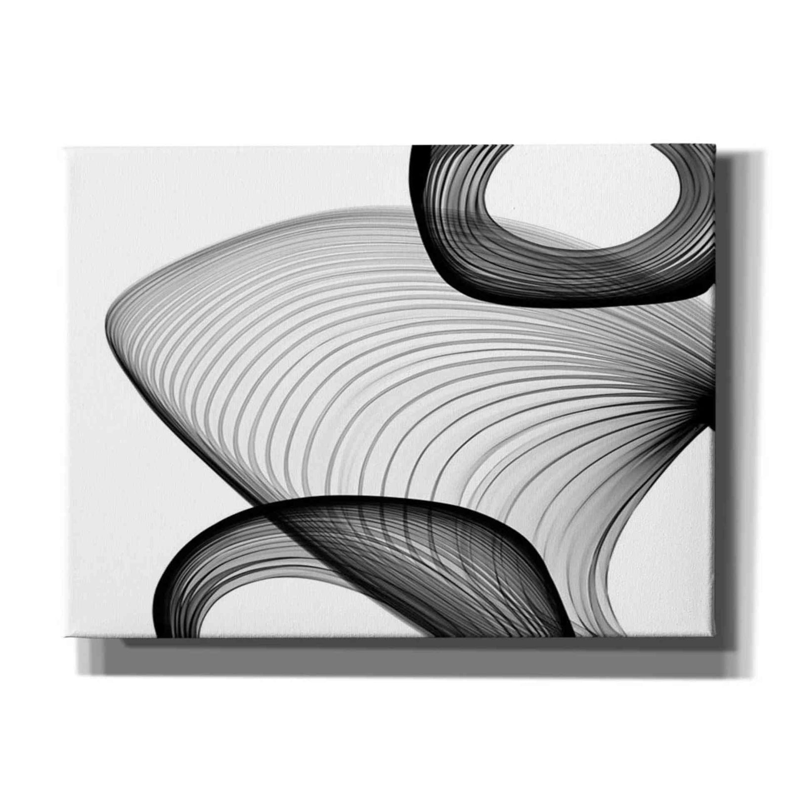 Epic Graffiti 'Abstract Black and White 21-59' by Irena Orlov, Giclee Canvas Wall Art