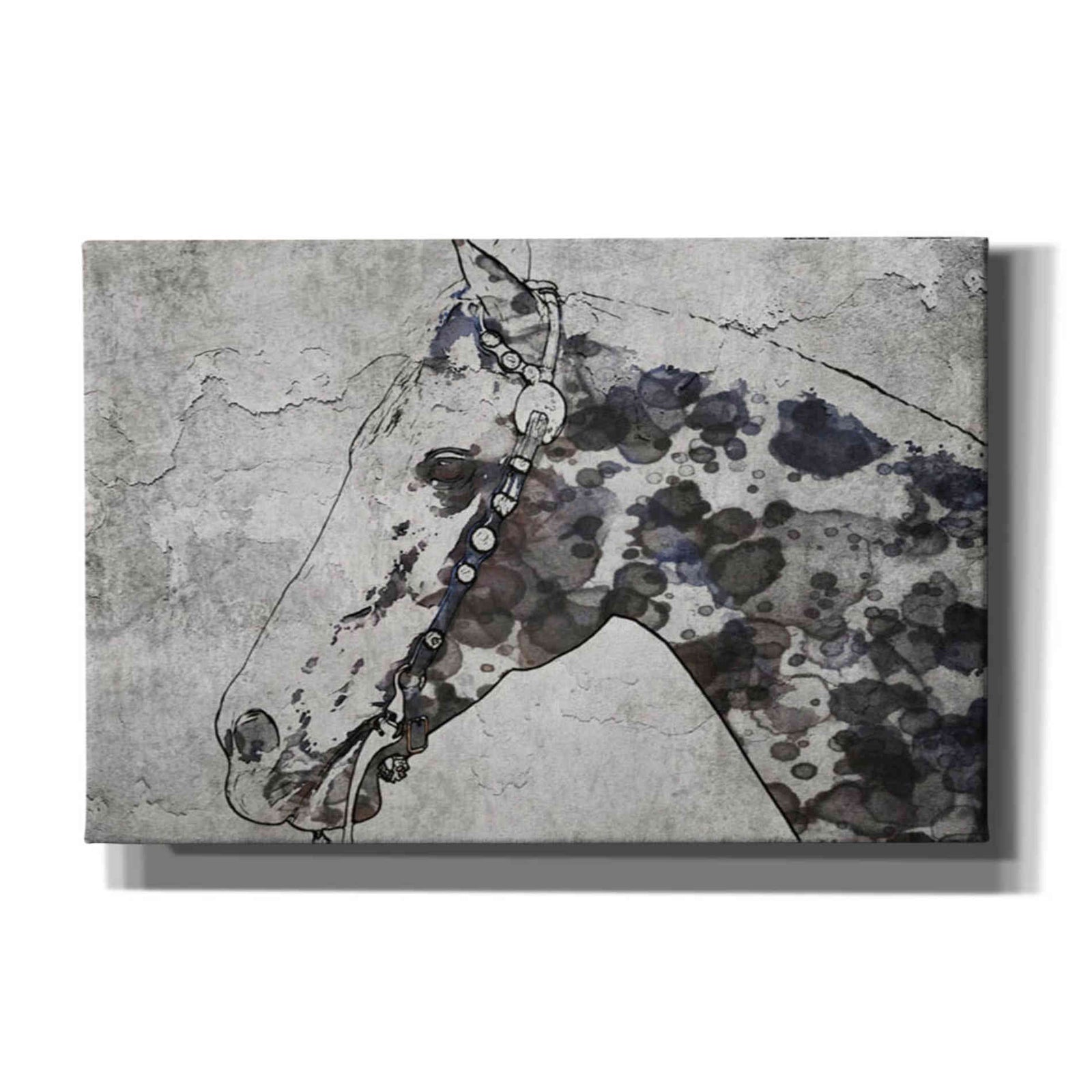 Epic Graffiti 'Black Ghost Horse 2' by Irena Orlov, Giclee Canvas Wall Art