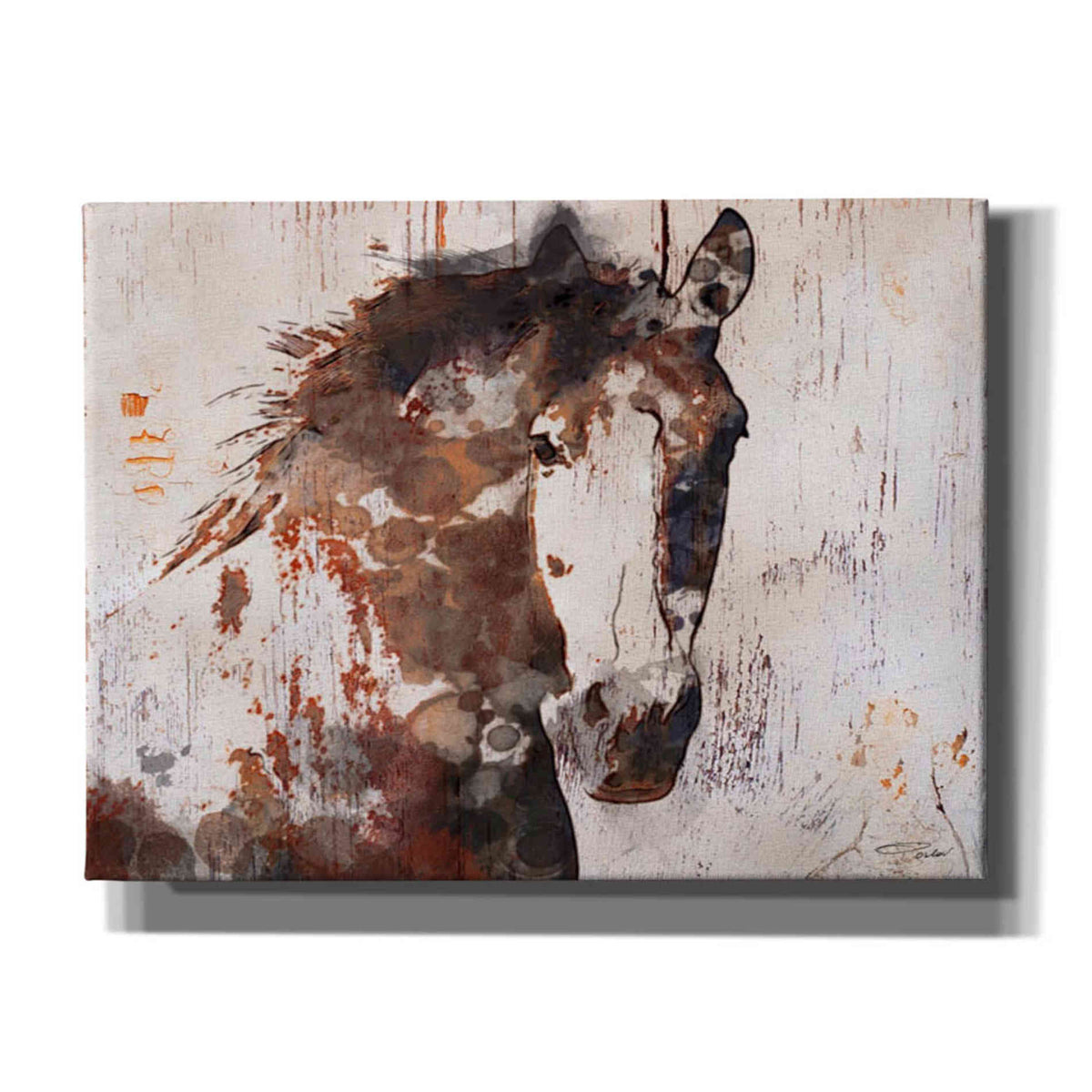 Epic Graffiti &#39;Brown 2 Gorgeous Horse&#39; by Irena Orlov, Giclee Canvas Wall Art