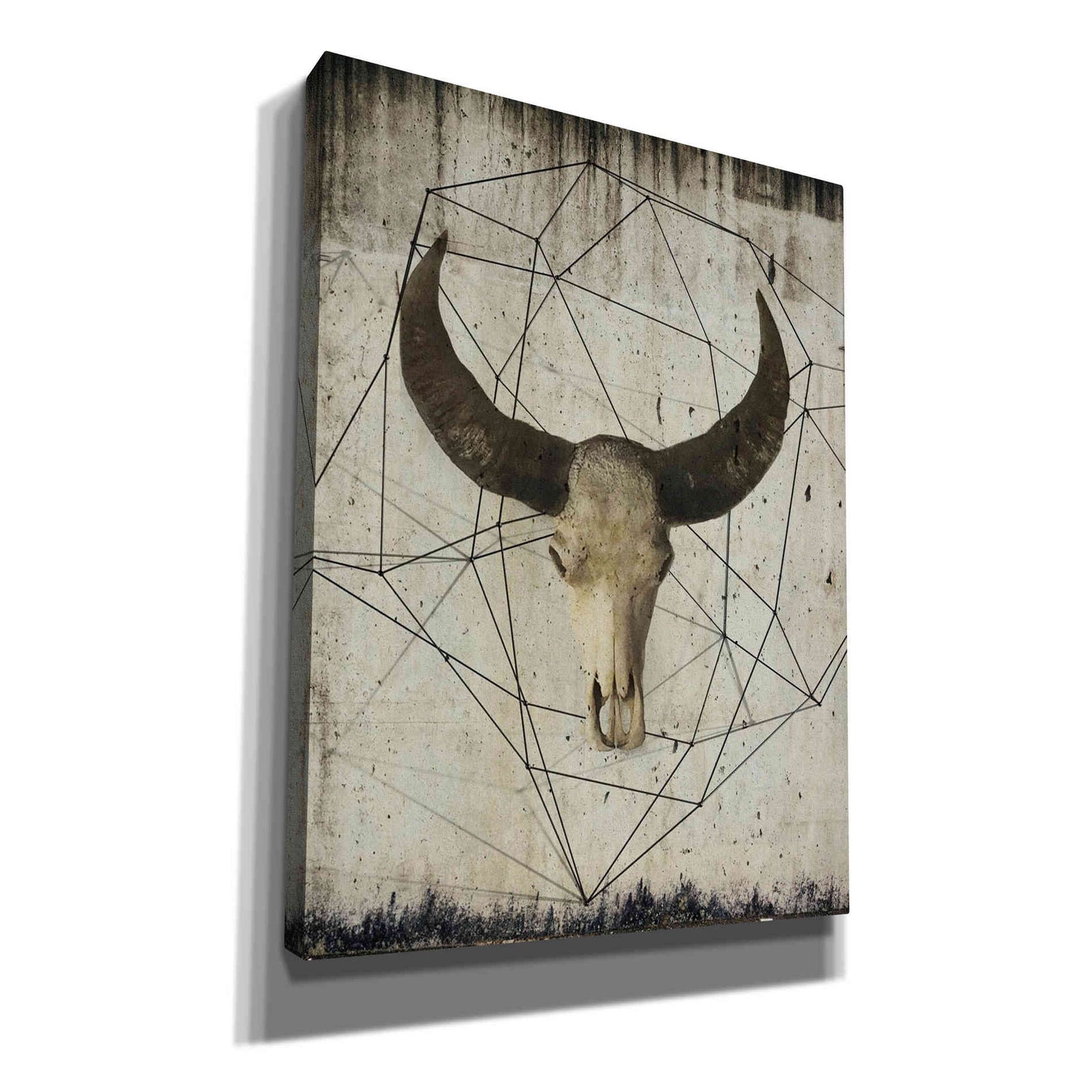 Epic Graffiti 'Buffalo Skull' by Irena Orlov, Giclee Canvas Wall Art