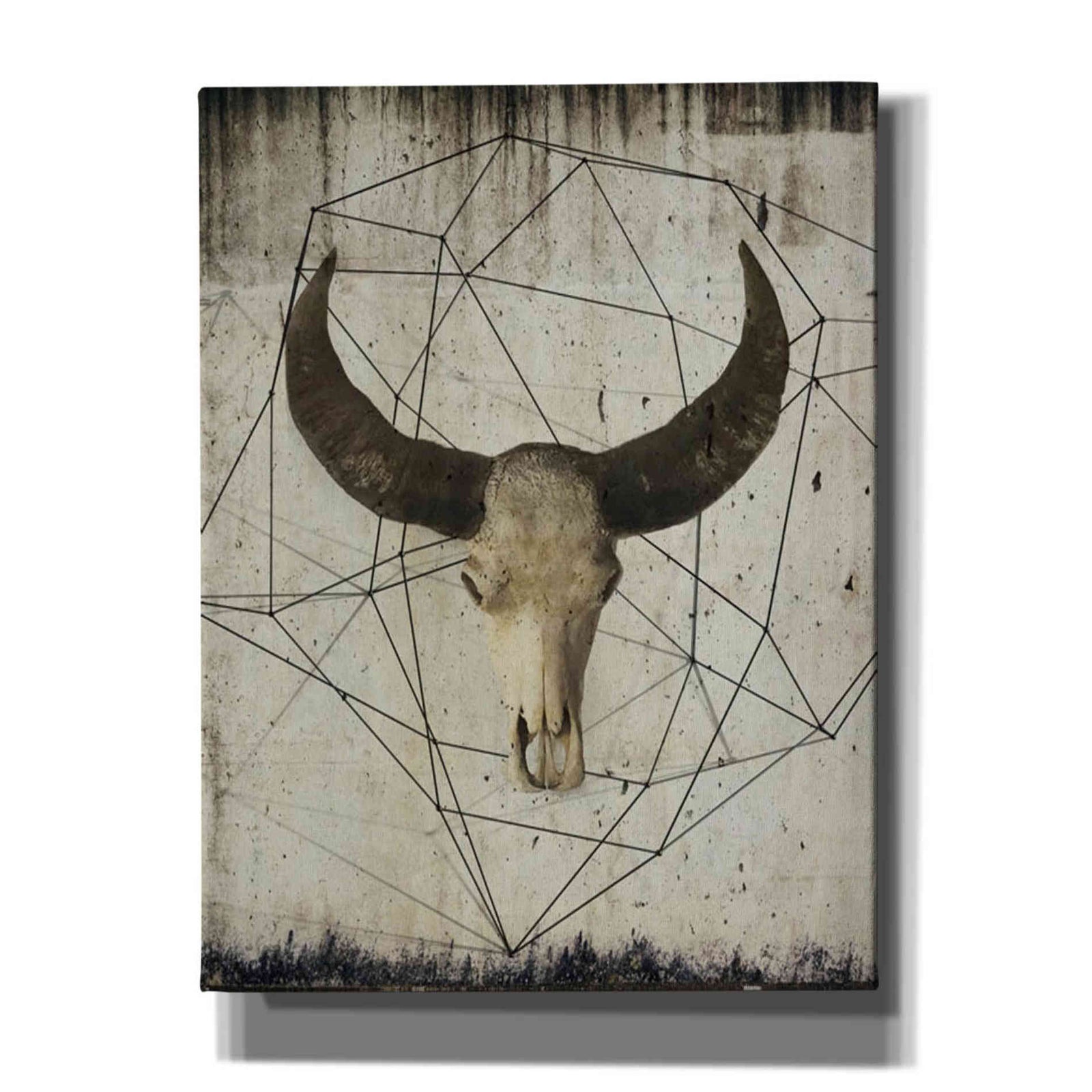 Epic Graffiti 'Buffalo Skull' by Irena Orlov, Giclee Canvas Wall Art