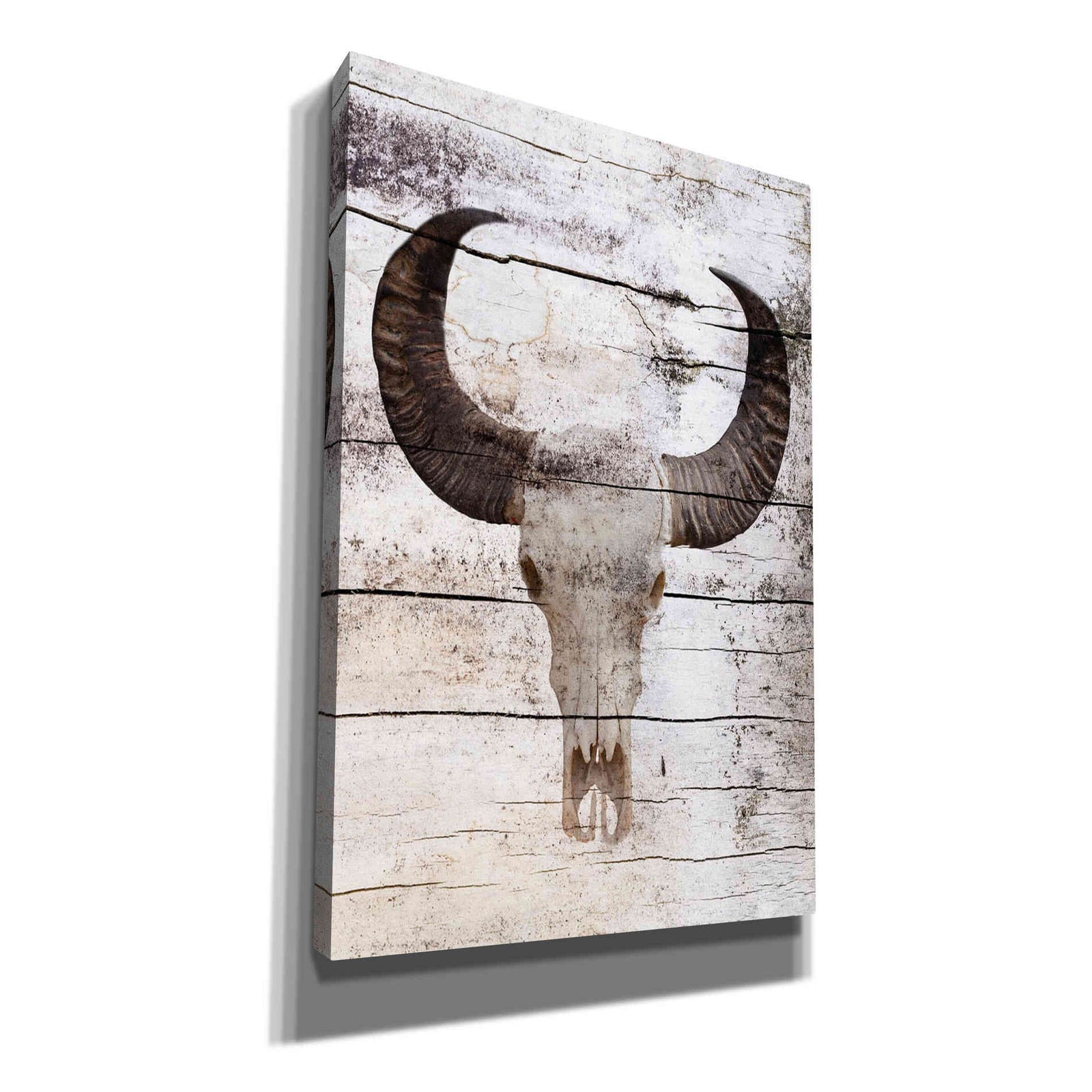 Epic Graffiti 'Bullock Skull' by Irena Orlov, Giclee Canvas Wall Art