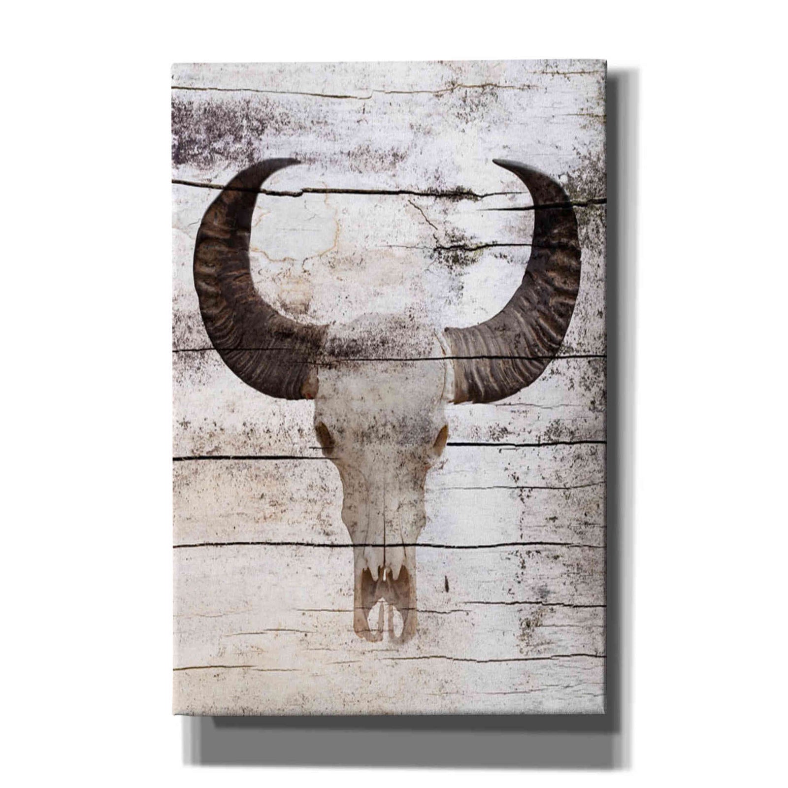 Epic Graffiti 'Bullock Skull' by Irena Orlov, Giclee Canvas Wall Art