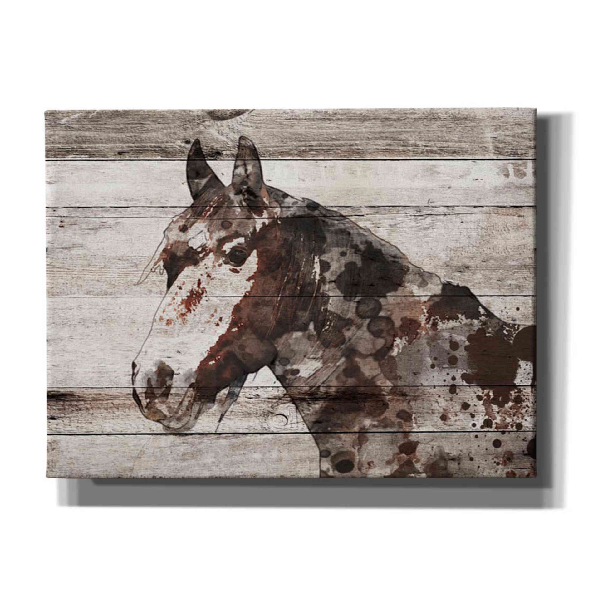 Epic Graffiti 'Jalisco Horse' by Irena Orlov, Giclee Canvas Wall Art