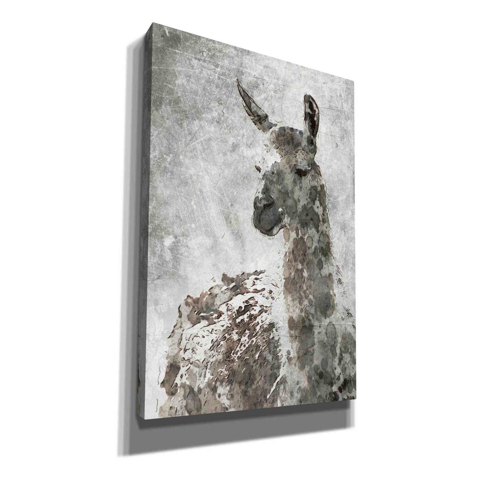 Epic Graffiti 'Llama' by Irena Orlov, Giclee Canvas Wall Art