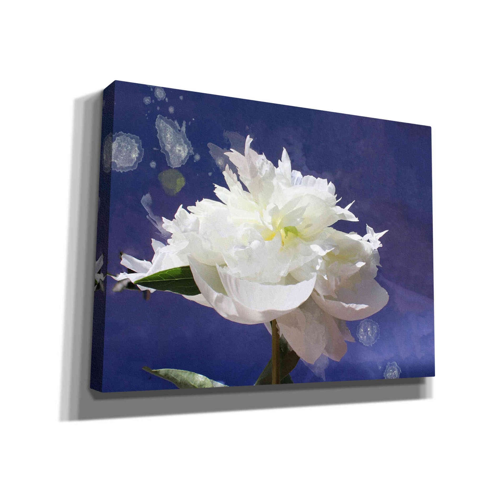 Epic Graffiti 'White Peony-Scents of Heaven' by Irena Orlov, Giclee Canvas Wall Art
