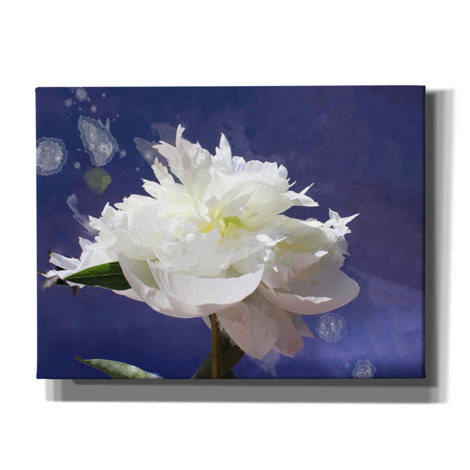 Epic Graffiti 'White Peony-Scents of Heaven' by Irena Orlov, Giclee Canvas Wall Art