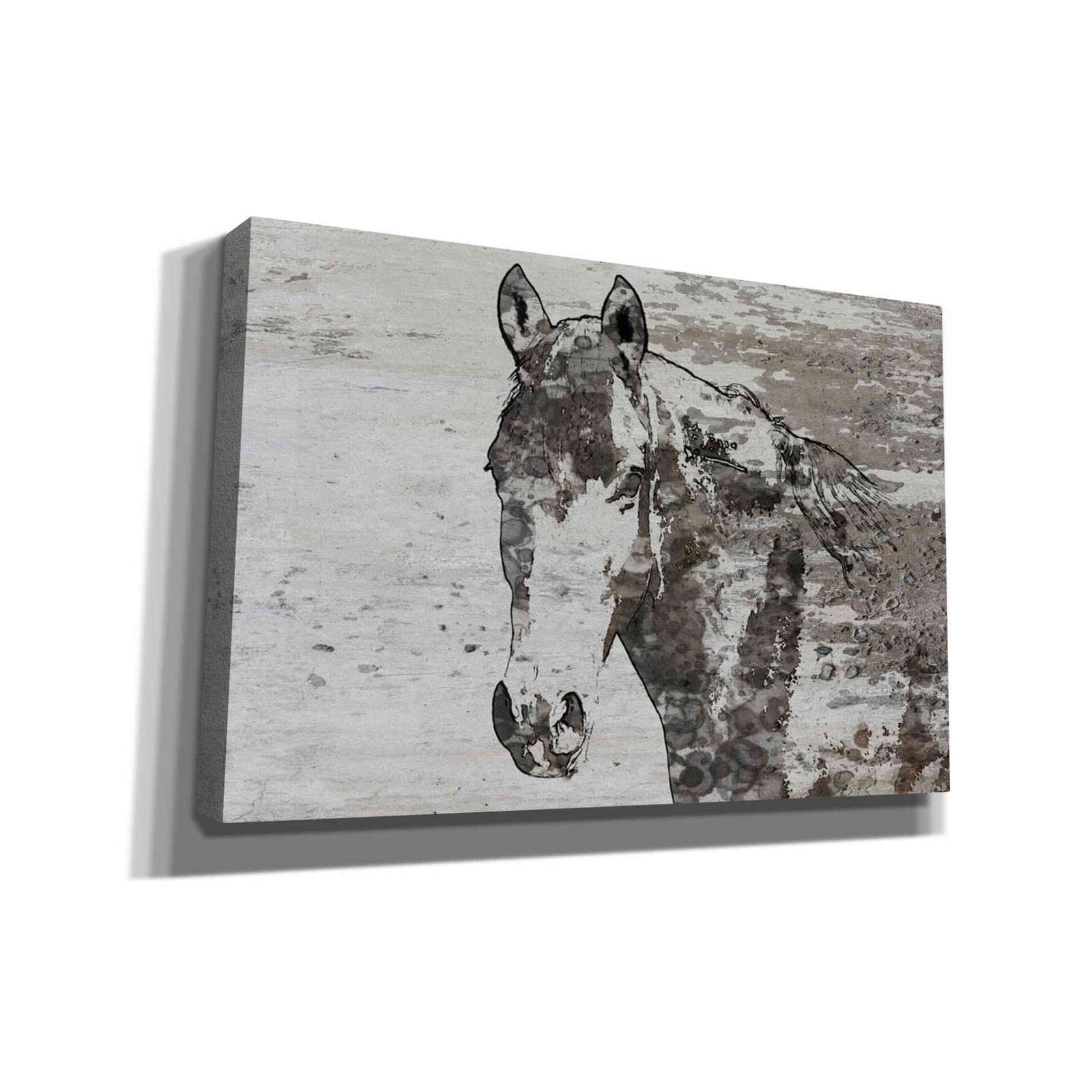 Epic Graffiti 'Portrait of a Horse' by Irena Orlov, Giclee Canvas Wall Art