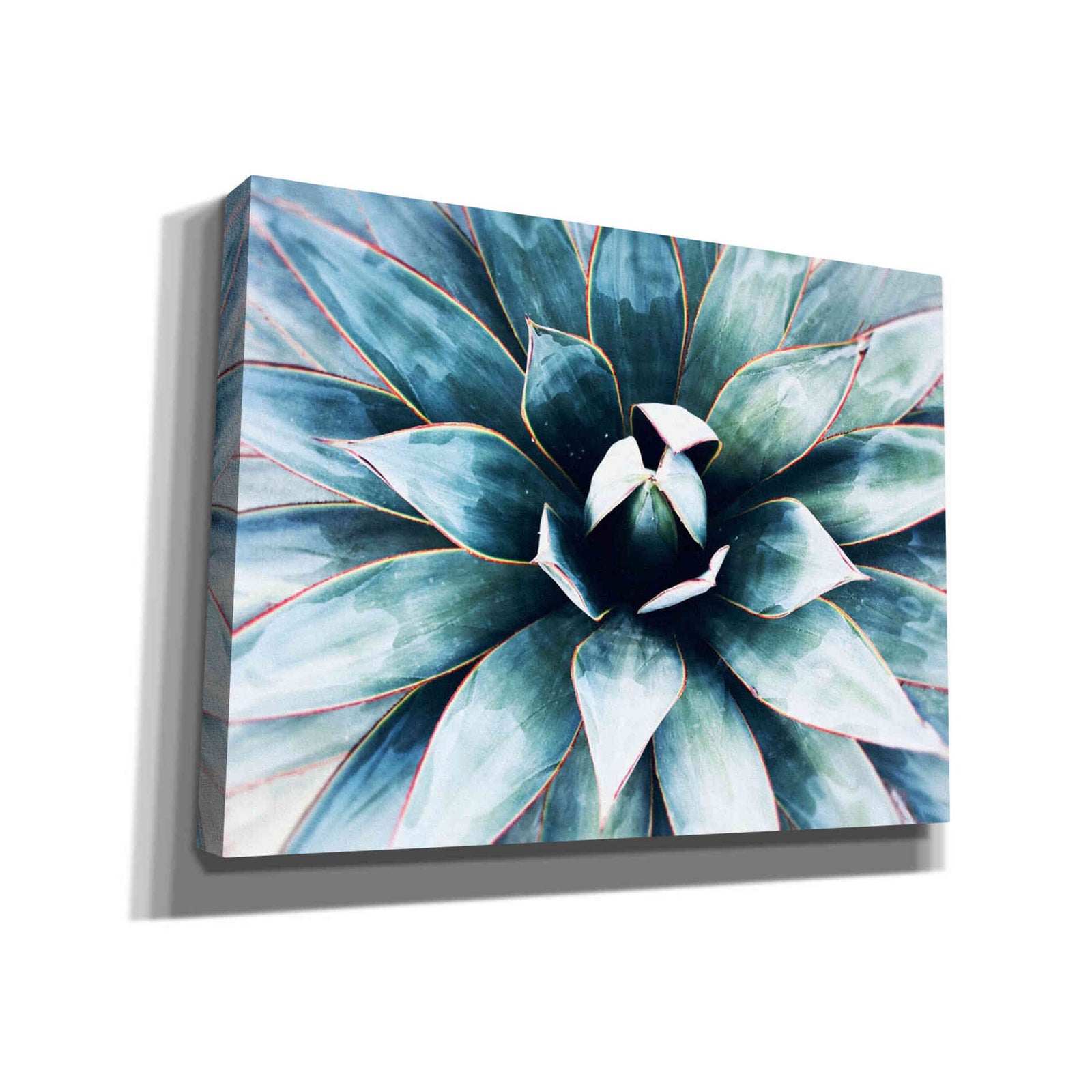 Epic Graffiti 'Tropical Star' by Irena Orlov, Giclee Canvas Wall Art