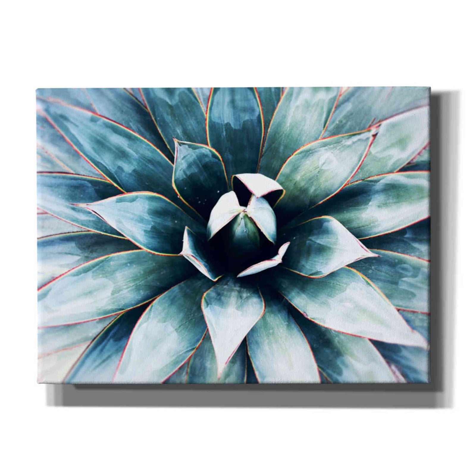 Epic Graffiti 'Tropical Star' by Irena Orlov, Giclee Canvas Wall Art