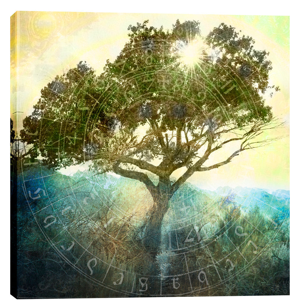 Epic Graffiti &quot;Tree And Sun&quot;  by Elena Ray Giclee Canvas Wall Art