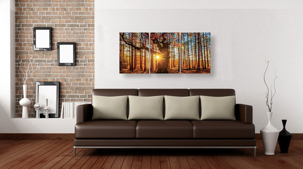 Epic Graffiti &quot;Into The Woods&quot; Acrylic Wall Art, 42&quot; x 20&quot;