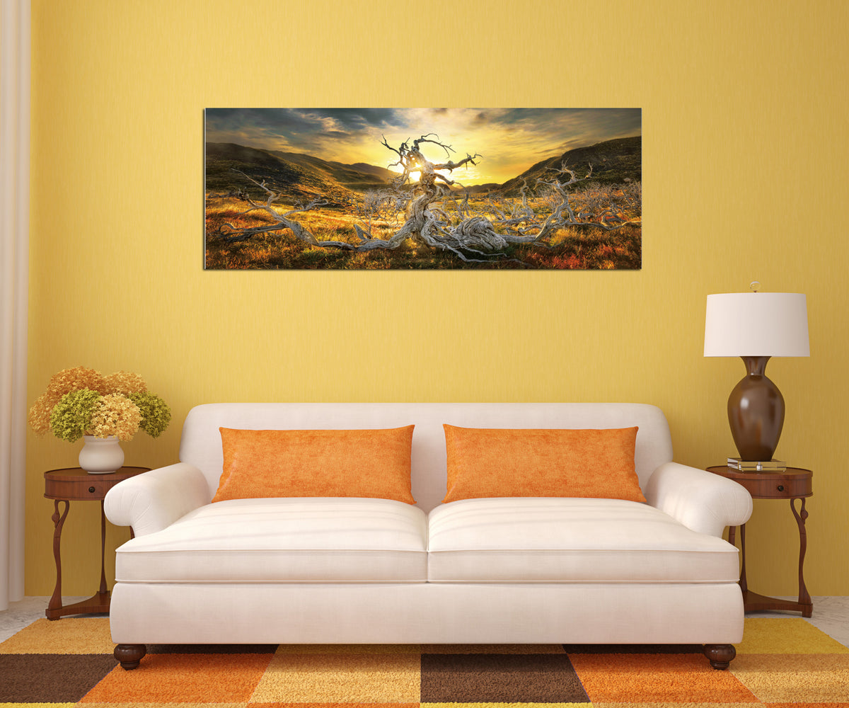 Epic Graffiti &quot;Dame of the Desert&quot; in a High Gloss Acrylic Wall Art, 60&quot; x 20&quot;