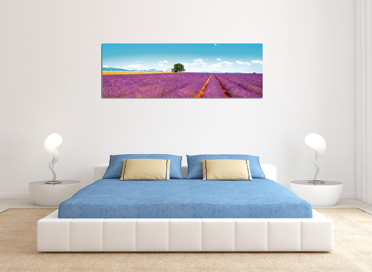 Epic Graffiti &quot;Field of Lavender&quot; in a High Gloss Acrylic Wall Art, 60&quot; x 20&quot;