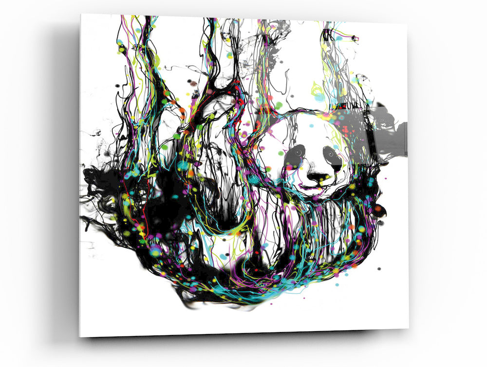 Epic Graffiti &quot;Ecstasy Panda &quot; in a High Gloss Acrylic Wall Art, 32&quot; x 32&quot;