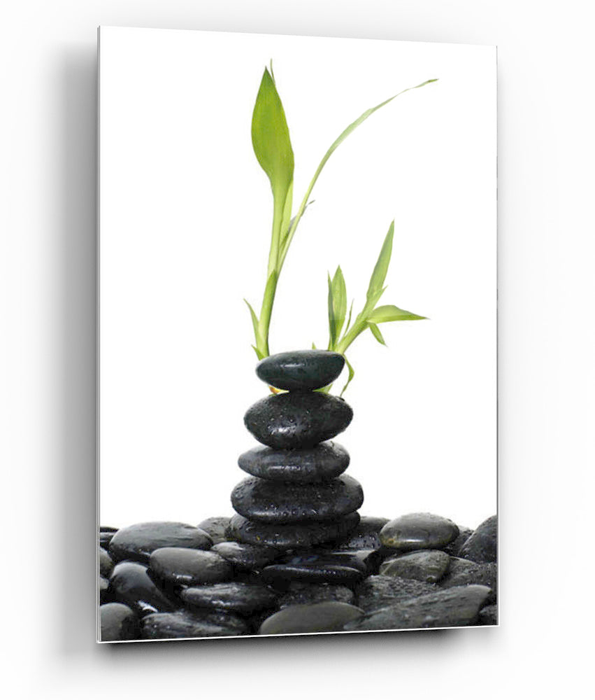 Epic Graffiti Spa Rocks 2 Tempered Glass Wall Art, 13" x 18"