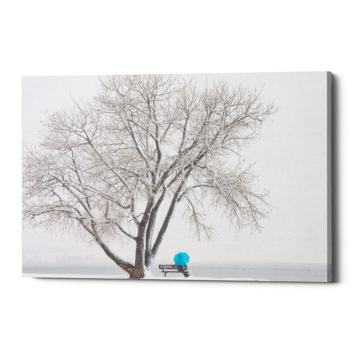 Epic Graffiti &quot;Another Winter Alone&quot; by Darren White, Giclee Canvas Wall Art