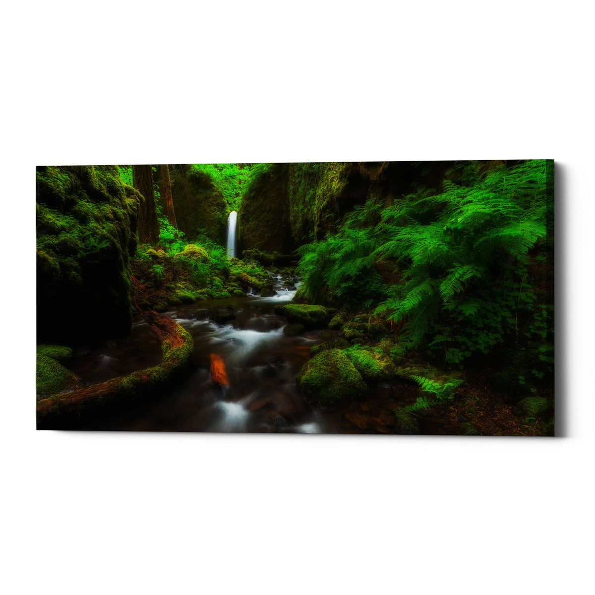 Epic Graffiti &quot;Early Morning At The Grotto&quot; by Darren White, Giclee Canvas Wall Art