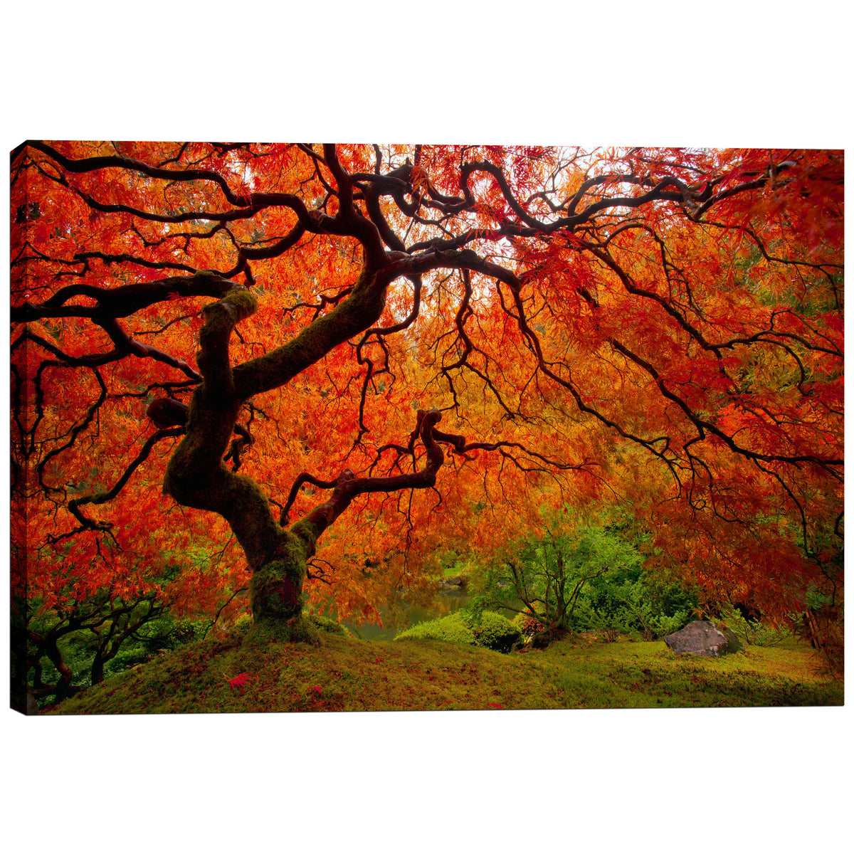 Epic Graffiti &quot;Tree Fire&quot; by Darren White, Giclee Canvas Wall Art